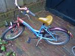 kinderfiets 20 inch, Fietsen en Brommers, Ophalen, Gebruikt, 20 inch, Loekie