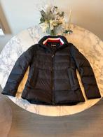 Tommy Hilfiger Puffer Dons Jas Winterjas, Maat 38/40 (M), Zwart, Nieuw, Ophalen of Verzenden