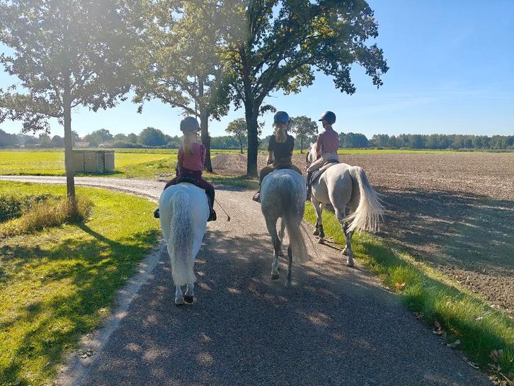 Doortrainen A of B pony, Dieren en Toebehoren, Stalling en Weidegang, Stalling, Weidegang, 1 paard of pony