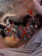 Therian Maskers kijk naar descriptie of bid!!, Hobby en Vrije tijd, Kostuums, Theaterbenodigdheden en LARP, Verzenden, Zo goed als nieuw