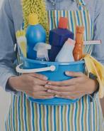 Huishoudelijke hulp gezocht !, Vacatures, Profielen | Scholier zoekt bijbaan