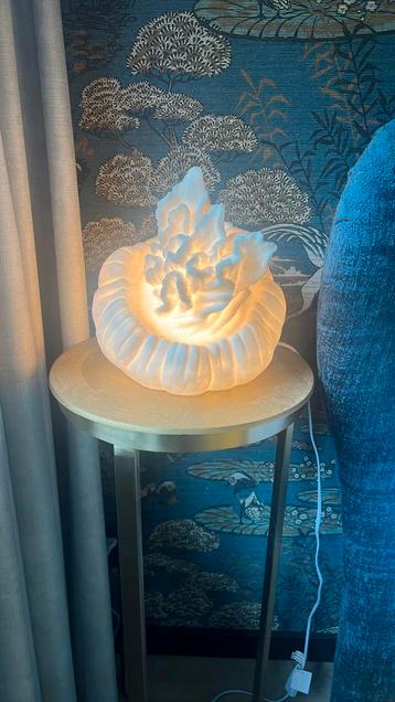 Lamp zeewier modern beschikbaar voor biedingen
