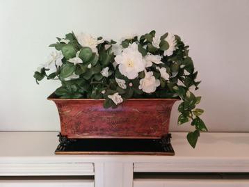 Plantenbakje beschikbaar voor biedingen