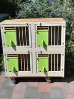 Lichthok van 4, Dieren en Toebehoren, Mannelijk, Postduif