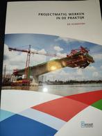 Ed Schouten - Projectmatig werken in de praktijk, Ed Schouten, Sociale wetenschap, Ophalen of Verzenden, Zo goed als nieuw
