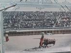 Ansichtkaart  NIMES La Corrida de toros nr 2, Ophalen of Verzenden, Buiten Europa
