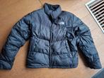 North face winterjas M, Ophalen of Verzenden, Gedragen