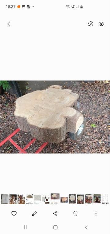 Twee mooie hardhouten boomschijven beschikbaar voor biedingen