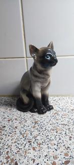 Zillermahler poes, Ophalen of Verzenden, Dier