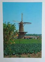 Heinkenszand ( Zld.) Molen De Vijf Gebroeders, Verzamelen, Verzenden, 1980 tot heden, Ongelopen, Zeeland