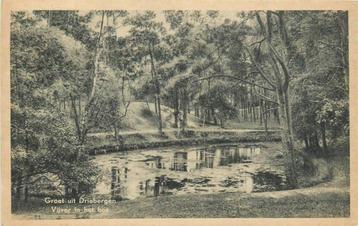 (388-405-041) Driebergen-Rijsenburg Vijver in het bos beschikbaar voor biedingen