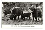 Barchem KVR09 3428 Highland - Cattle Johannahoeve, Gelopen, Gelderland, Verzenden, 1980 tot heden