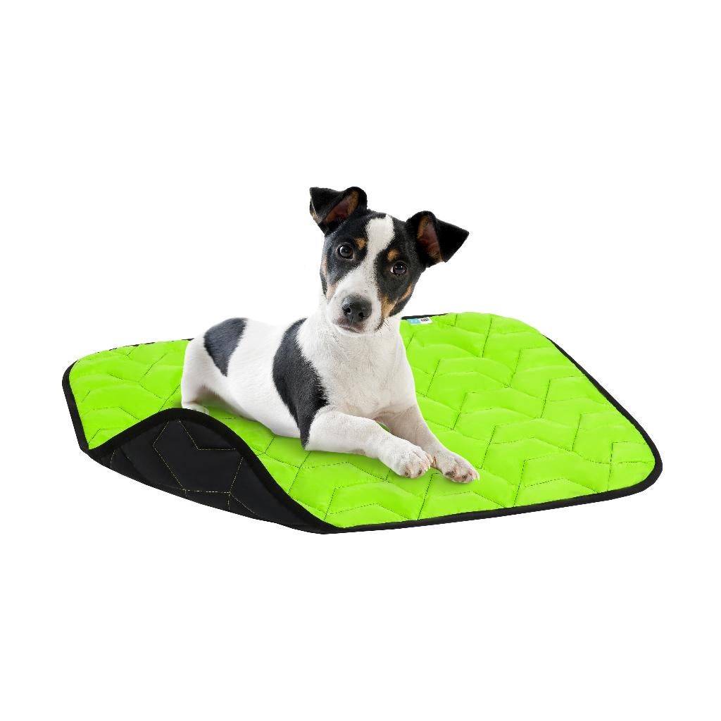 AiryVest Hondenkussen Omkeerbaar S 55x40 cm Lime -40%!!!, Dieren en Toebehoren, Hondenmanden, Nieuw, Polyester, Ophalen of Verzenden