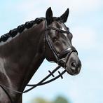 Passier Blu Spirit Hoofdstel Aansnoer, Zwart, Cob en Full, Dieren en Toebehoren, Ophalen of Verzenden, Nieuw, Dressuur