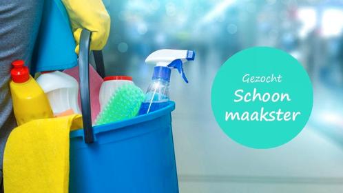 Gezocht tijdelijke schoonmaakhulp, Schiebroek, Vacatures, Vacatures | Schoonmaak en Facilitaire diensten, Overige vormen