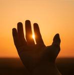 Zes merken met ziel en bewezen winst