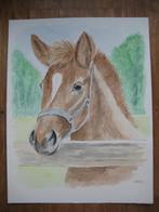 Aquarel Paard in de wei (27x35 cm), Ophalen, Minder dan 50 cm, Oorspronkelijke maker, Nieuw