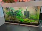 Juwel 125 liter, Ophalen, Zo goed als nieuw, Plant(en), Steen of Hout