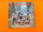 Die Lustigen Dorfmusikanten - Bei Slavko zu Hause, Cd's en Dvd's, Ophalen of Verzenden, Zo goed als nieuw, 12 inch, Europees