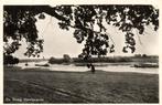 De Steeg, IJsselgezicht - 1956? gelopen, Verzamelen, Ansichtkaarten | Nederland, Ophalen of Verzenden, Voor 1920, Gelopen, Gelderland
