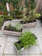 Plantenbakken op wieltjes met kruiden / tomaten, Ophalen, Gebruikt, Minder dan 30 cm, Tuin