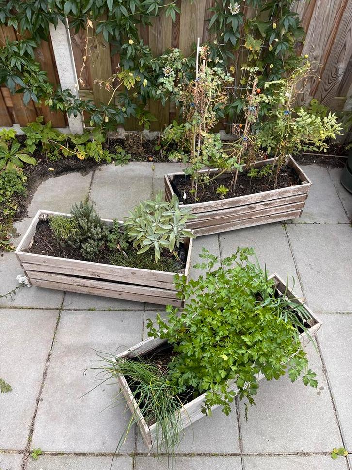 Plantenbakken op wieltjes met kruiden / tomaten, Tuin en Terras, Bloembakken en Plantenbakken, Gebruikt, Hout, Balkon, Tuin, Minder dan 30 cm