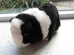 Cavia zwart wit velours met bruine kunststof ogen merk PIA, Kinderen en Baby's, Speelgoed | Knuffels en Pluche, Ophalen of Verzenden