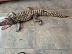 Kunststof krokodil voor bijvoorbeeld vijver, Ophalen