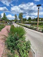 Professioneel tuinonderhoud & heggen snoeien, Diensten en Vakmensen, Tuinmannen en Stratenmakers, Garantie, Tuinontwerp