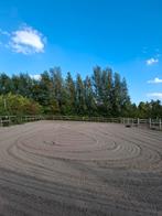 🐴 Mini Paddock Paradise – Volpension / geen taken