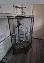 Hoekkooi voor papagaai, Dieren en Toebehoren, Ophalen, Zo goed als nieuw, Metaal, Vogelkooi