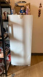 Vrieskast, Witgoed en Apparatuur, Vriezers en Diepvrieskisten, Refurbished, 160 cm of meer, Energieklasse A of zuiniger, Ophalen