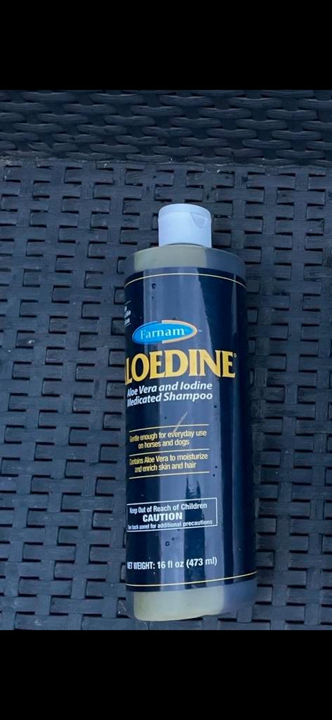 Farnam Medicated Shampoo met Aloë Vera en Jodium 473 ml, Dieren en Toebehoren, Paarden en Pony's | Verzorgingsproducten, Nieuw