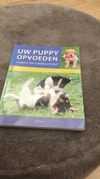 U. Köppel - Uw puppy opvoeden volgens het roedelconcept, Honden, Zo goed als nieuw, U. Köppel, Ophalen of Verzenden