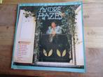dubbel lp andre hazes  de allerbeste, Ophalen of Verzenden, Zo goed als nieuw, 12 inch, Levenslied of Smartlap