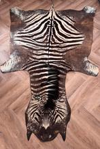 Echte Afrikaanse zebrahuid – grote maat – Burchell, Huis en Inrichting, Stoffering | Tapijten en Kleden, Ophalen, Gebruikt, Rechthoekig