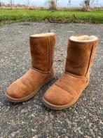 Ugg classic short chestnut maat 44.5, Kleding | Dames, Schoenen, Hoge laarzen, UGG, Bruin, Verzenden