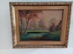 Te koop schilderij natuur, Antiek en Kunst, Kunst | Schilderijen | Klassiek, Ophalen
