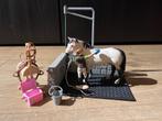 Schleich 42104 wasbox Horse club, Ophalen of Verzenden, Zo goed als nieuw, Jongen of Meisje