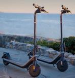 Segway-Ninebot E2 Plus E - Nieuw!, Ophalen of Verzenden, Nieuw, Elektrisch, Overige merken