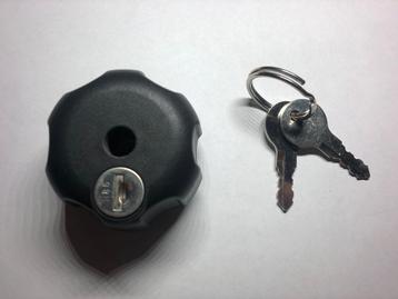 TomTom Rider Anti diefstal slot met sleutels 