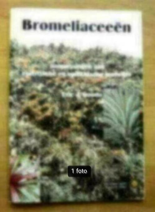 Bromeliaceeën door Eric J.Gouda., Boeken, Wonen en Tuinieren, Gelezen, Overige soorten, Ophalen of Verzenden