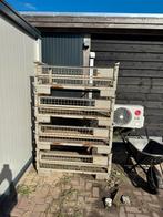 Gitterboxen / Magazijn stappel kraten 4 stuks, Krat, Overige typen, Zo goed als nieuw, Minder dan 2 meter