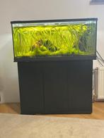 Acquarium, Dieren en Toebehoren, Vissen | Aquaria en Toebehoren, Ophalen, Gebruikt, Leeg aquarium