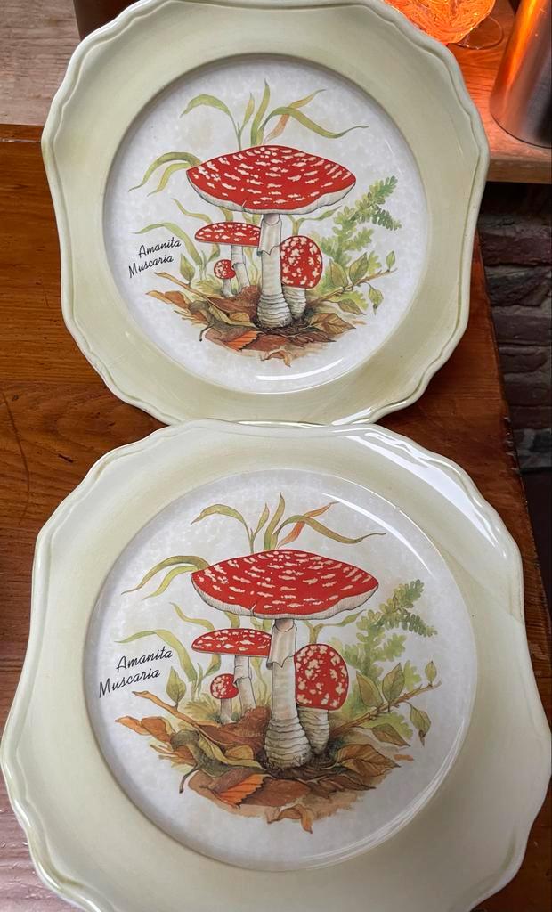 Servies met Paddenstoelen - Handgeschilderd uit Gubbio, Huis en Inrichting, Keuken | Servies, Zo goed als nieuw, Compleet servies