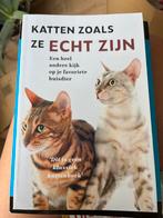 Katten zoals ze echt zijn - Nieuw!, Ophalen of Verzenden, Nieuw, Katten