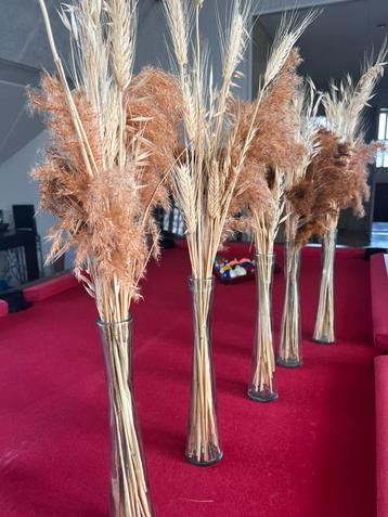 Droogbloemen incl vaasjes beschikbaar voor biedingen