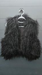 Zwart bont gilet - Maat 36, Kleding | Dames, Ophalen of Verzenden, Gedragen, Maat 36 (S), Zwart