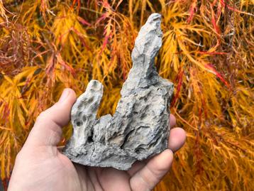 Bonsai Penjing rots ca. 9,8x5,5x15,4 beschikbaar voor biedingen