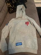 Knolpower Trui Maat 146/152, Ophalen of Verzenden, Gedragen, Overige maten, Grijs